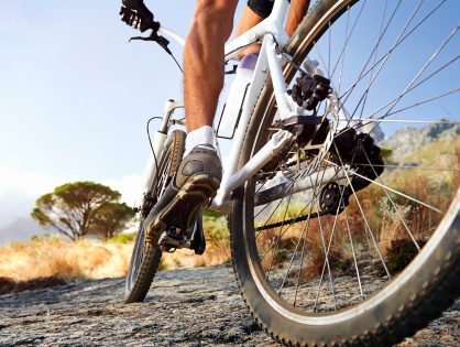 Stage de VTT à Strasbourg